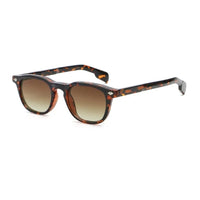 コラックブラウンフレーム／ブラウンレンズ